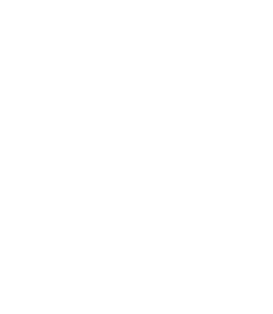 SEO F1rst